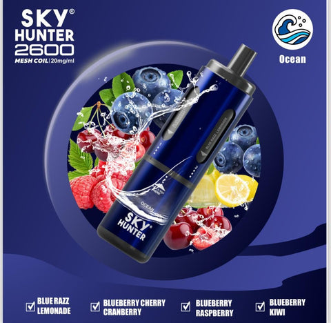 4 in 1 Sky Hunter 2600 Puffs Disposable Vape Pod Kit Pack of 5 - Vape & Candy Wholesale