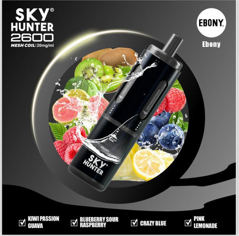 4 in 1 Sky Hunter 2600 Puffs Disposable Vape Pod Kit Pack of 5 - Vape & Candy Wholesale